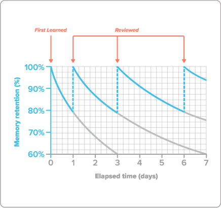 Curva dell'oblio Ripetizione dilazionata StudySmarter Magazine