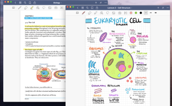 Studium organisieren, GoodNotes App, StudySmarter Magazine