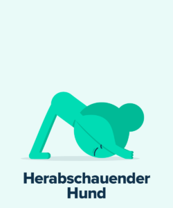 Yoga Übungen, Herabschauender Hund, StudySmarter Magazine